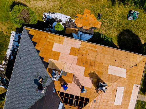 Best Local Roofing Companies  in Goodrich, MI