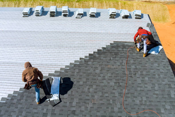Best Metal Roofing Contractor  in Goodrich, MI