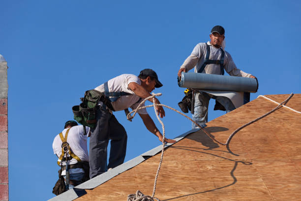Best Residential Roofing Contractor  in Goodrich, MI