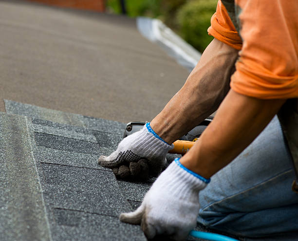 Best Flat Roof Repair Services  in Goodrich, MI