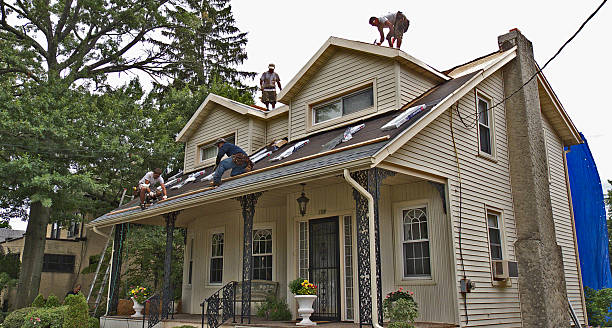 Best Roof Repair Services  in Goodrich, MI