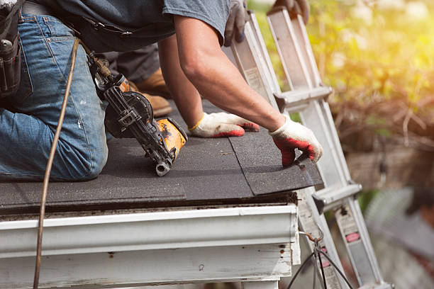 Best Gutter Installation and Roofing  in Goodrich, MI