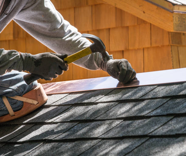 Best Roof Maintenance Services  in Goodrich, MI